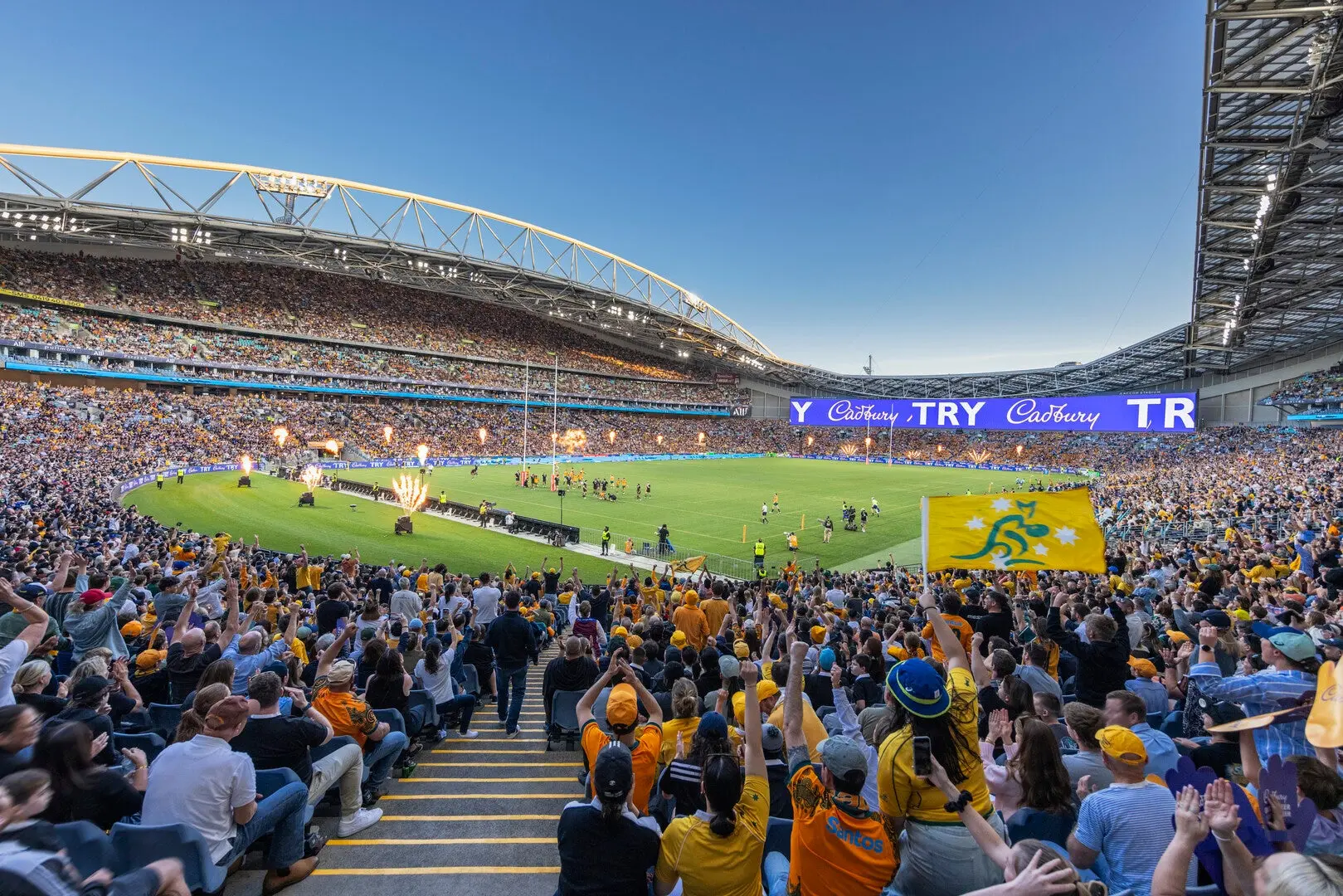 Bledisloe Cup: Wallabies v All Blacks